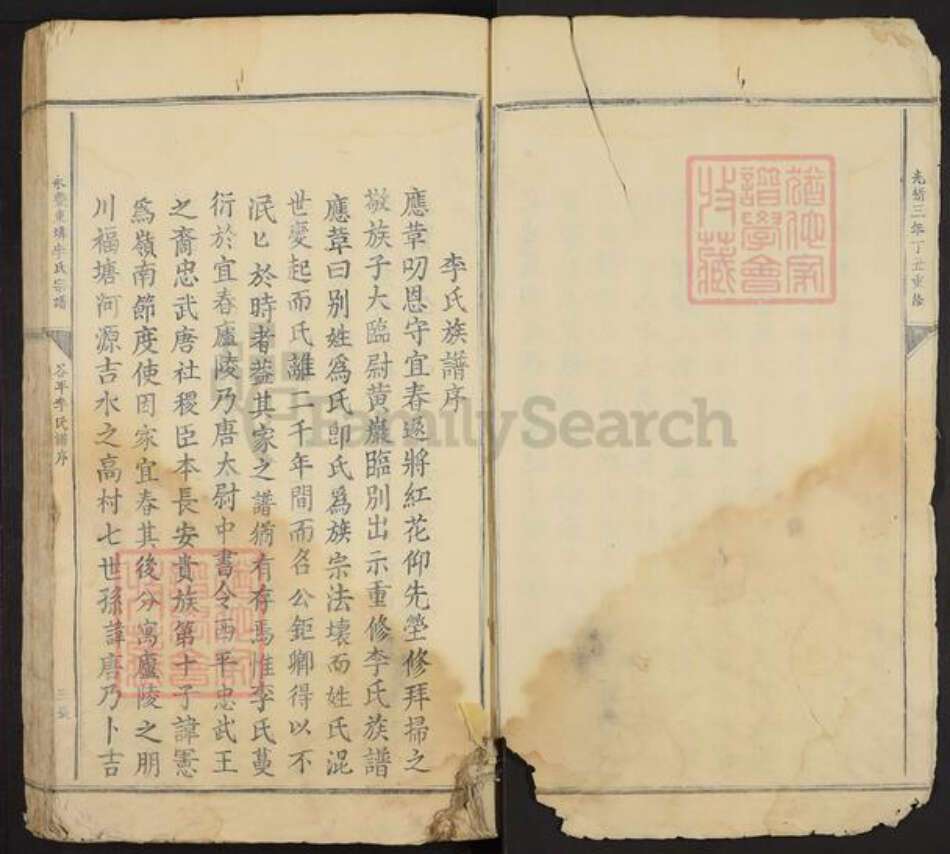 江西省吉安市永丰县李氏族谱-永丰东(土非)李氏宗谱.pdf电子版预览图2