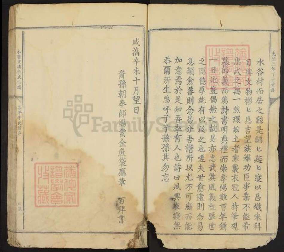 江西省吉安市永丰县李氏族谱-永丰东(土非)李氏宗谱.pdf电子版预览图3