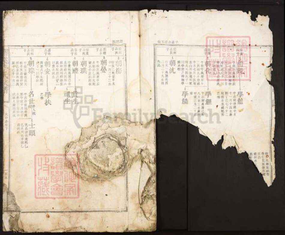 江西省吉安市吉安市李氏族谱-醪溪李氏族谱.pdf电子版预览图1