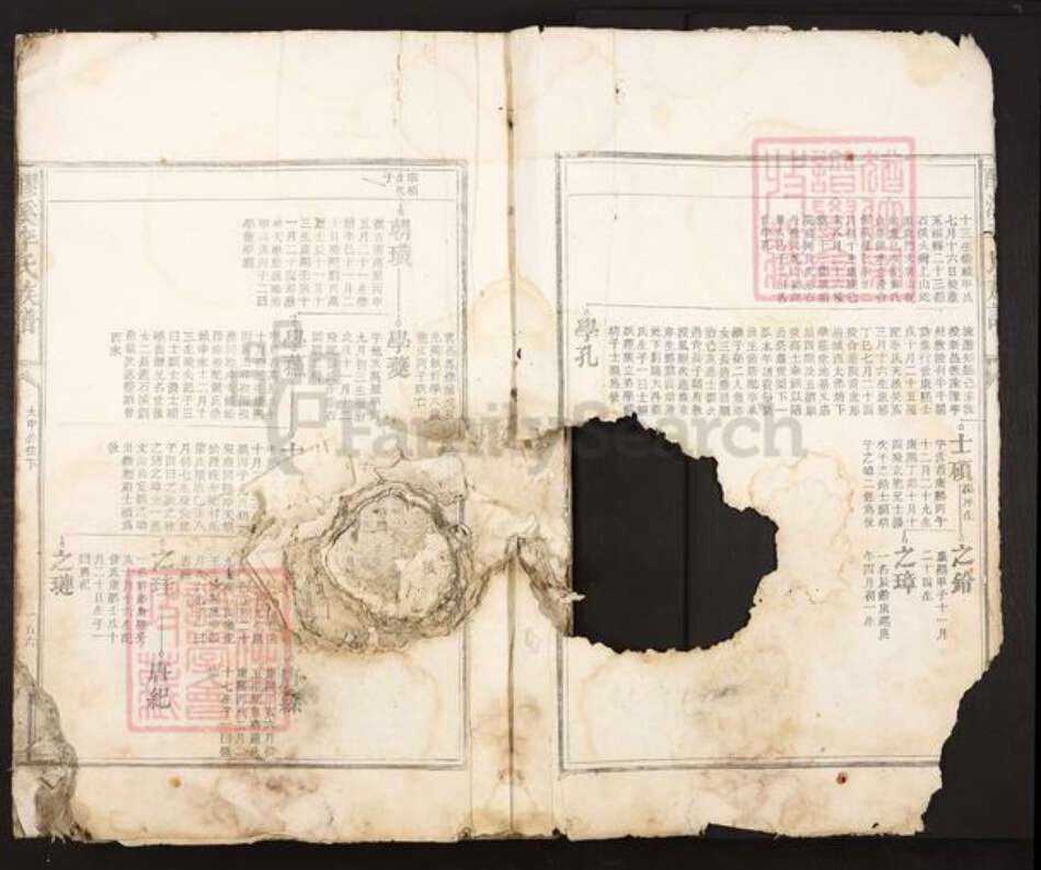 江西省吉安市吉安市李氏族谱-醪溪李氏族谱.pdf电子版预览图2