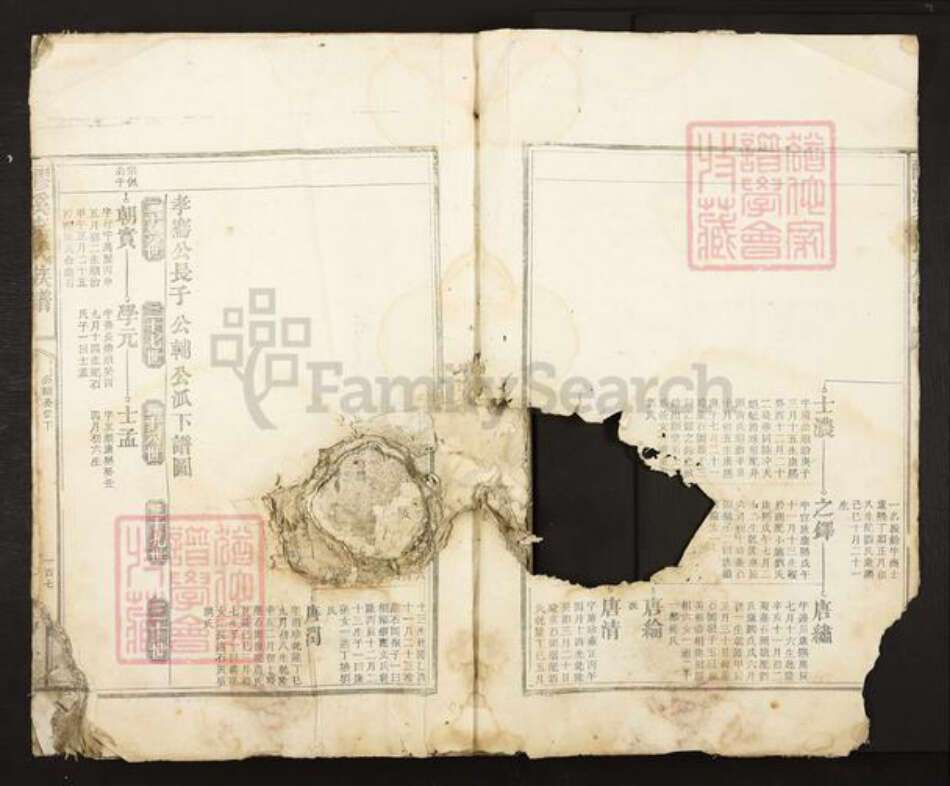 江西省吉安市吉安市李氏族谱-醪溪李氏族谱.pdf电子版预览图3