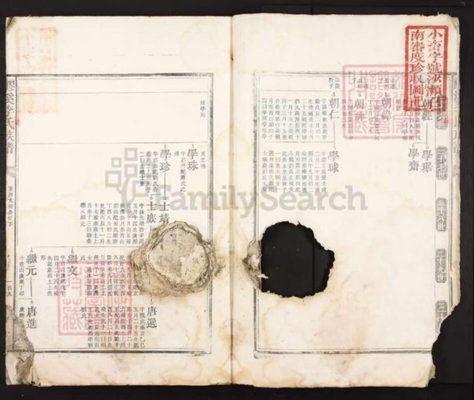 江西省吉安市吉安市李氏族谱-醪溪李氏族谱.pdf电子版预览图5