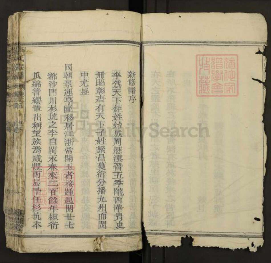 福建省泉州市永春县桃城镇李氏怀德堂族谱-李氏宗谱.pdf电子版预览图4