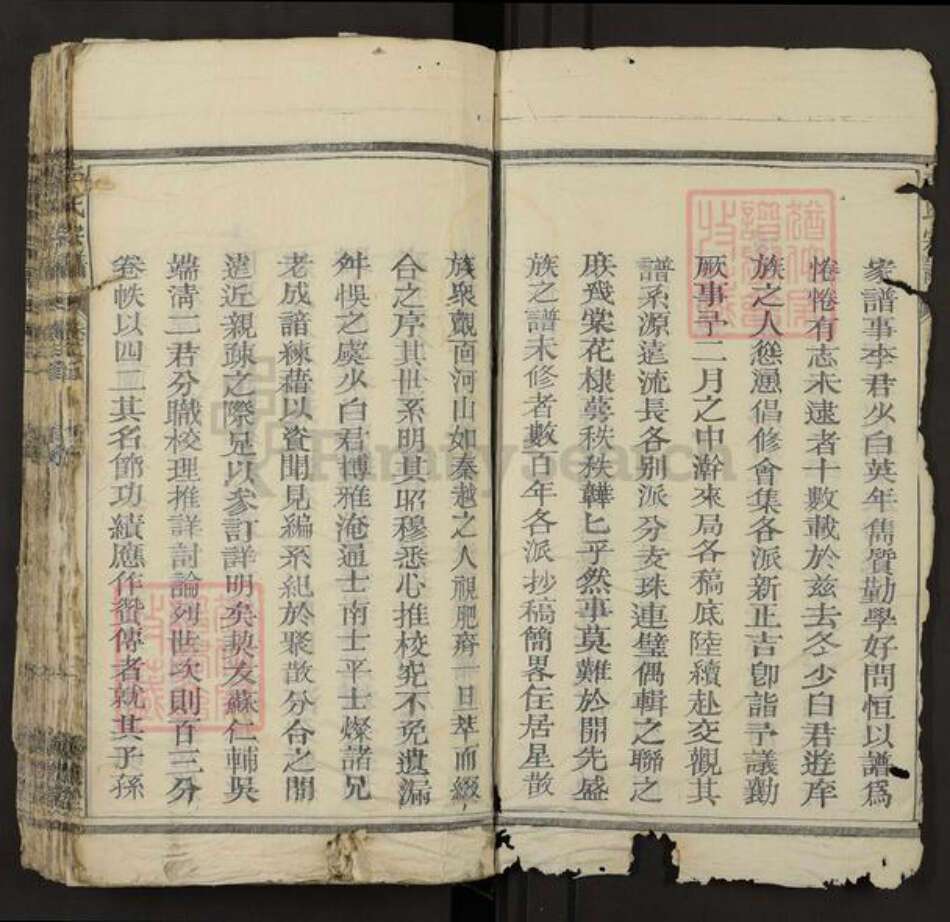 福建省泉州市永春县桃城镇李氏怀德堂族谱-李氏宗谱.pdf电子版预览图5