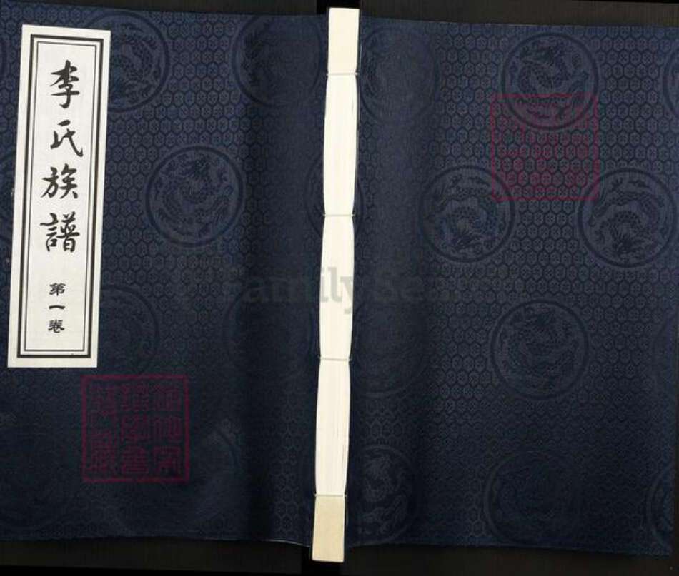 河北省沧州黄骅市吕桥镇李氏陇西堂族谱-李氏族谱.pdf电子版缩略图