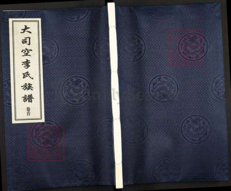 山东省菏泽市郓城县李氏滋德堂族谱-大司空李氏族谱.pdf电子版缩略图