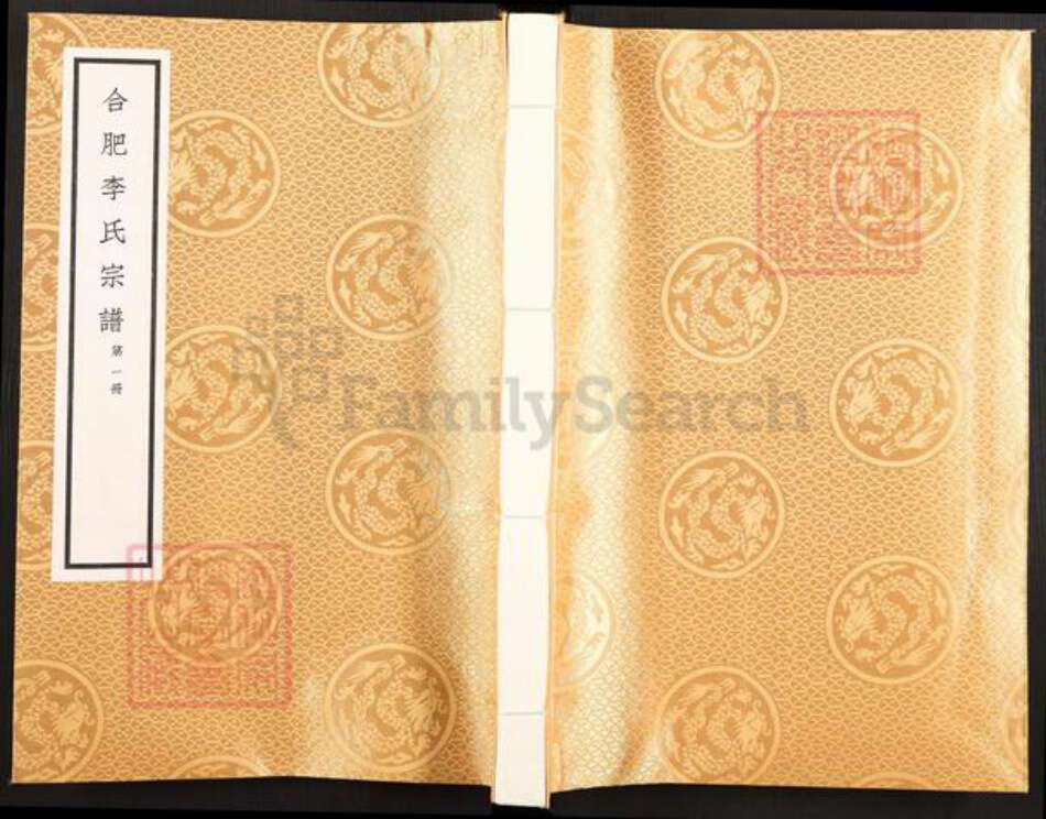 安徽省合肥市肥东县李氏族谱-合肥李氏宗谱.pdf电子版缩略图