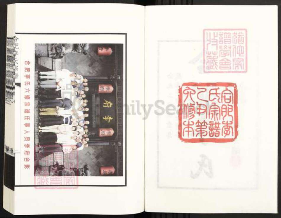 安徽省合肥市肥东县李氏族谱-合肥李氏宗谱.pdf电子版预览图2