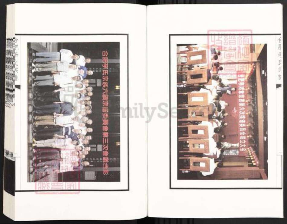 安徽省合肥市肥东县李氏族谱-合肥李氏宗谱.pdf电子版预览图3