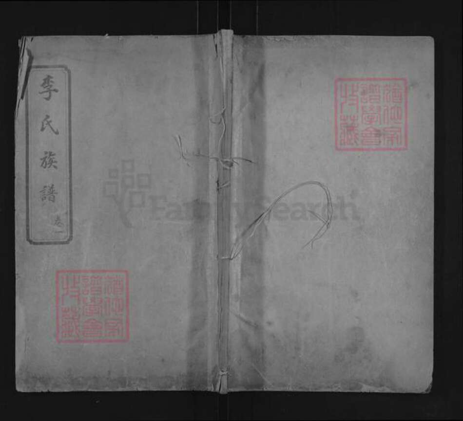 山东省泰安市肥城市桃园镇李氏世德堂族谱-李氏族谱.pdf电子版缩略图