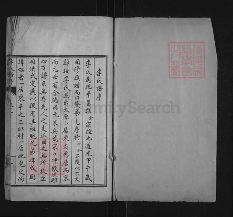 山东省泰安市肥城市桃园镇李氏世德堂族谱-李氏族谱.pdf电子版预览图1