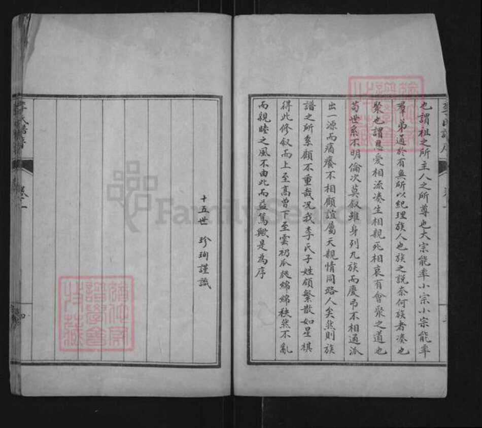 山东省泰安市肥城市桃园镇李氏世德堂族谱-李氏族谱.pdf电子版预览图4