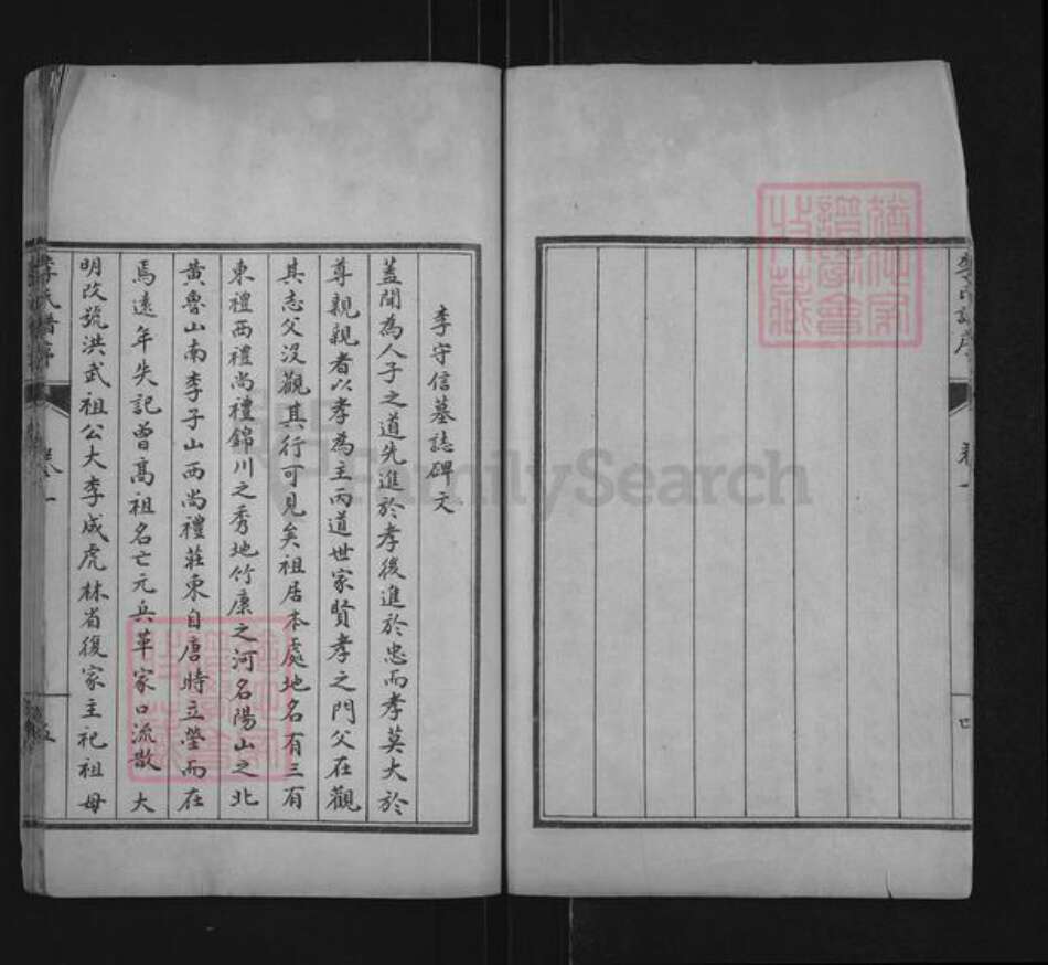 山东省泰安市肥城市桃园镇李氏世德堂族谱-李氏族谱.pdf电子版预览图5