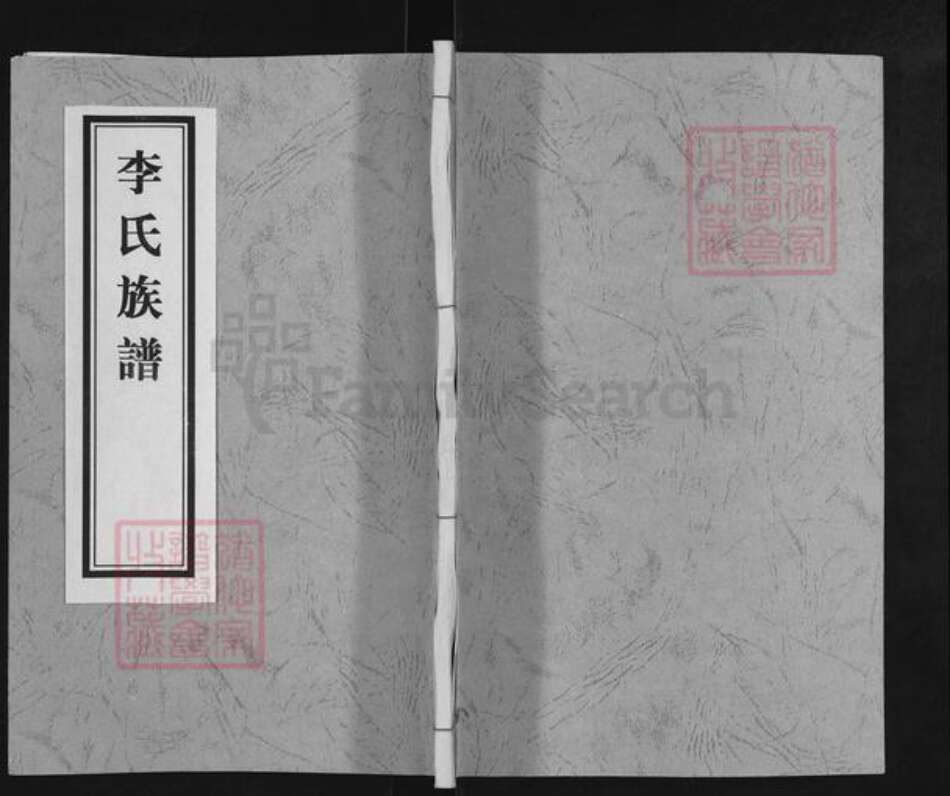 山东省临沂市兰山区李氏族谱-李氏族谱.pdf电子版缩略图