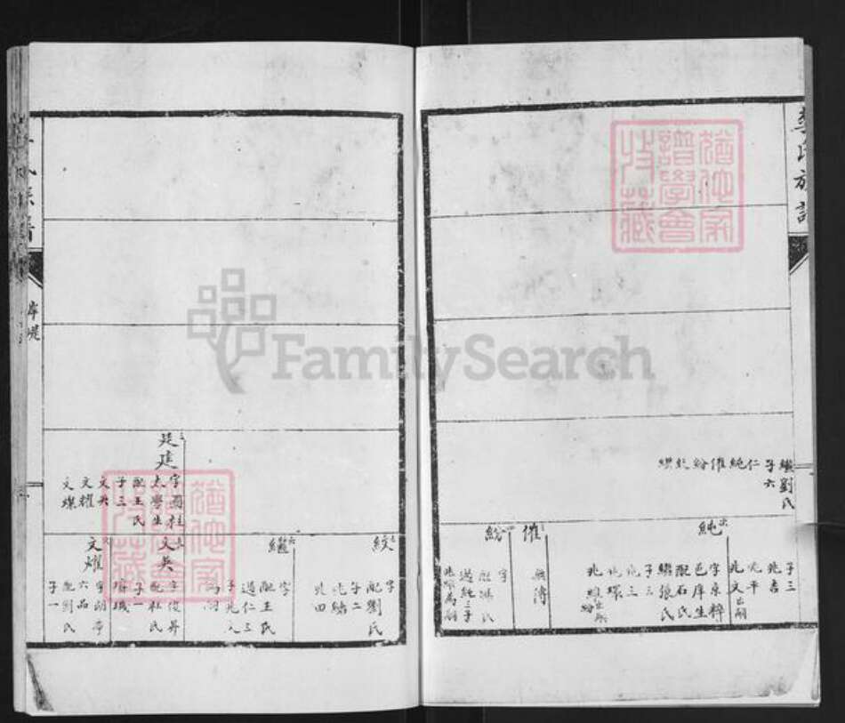 山东省临沂市兰山区李氏族谱-李氏族谱.pdf电子版预览图2