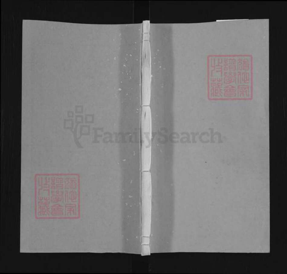 山东省潍坊市高密市醴泉街道李氏族谱-高密李氏家谱.pdf电子版缩略图