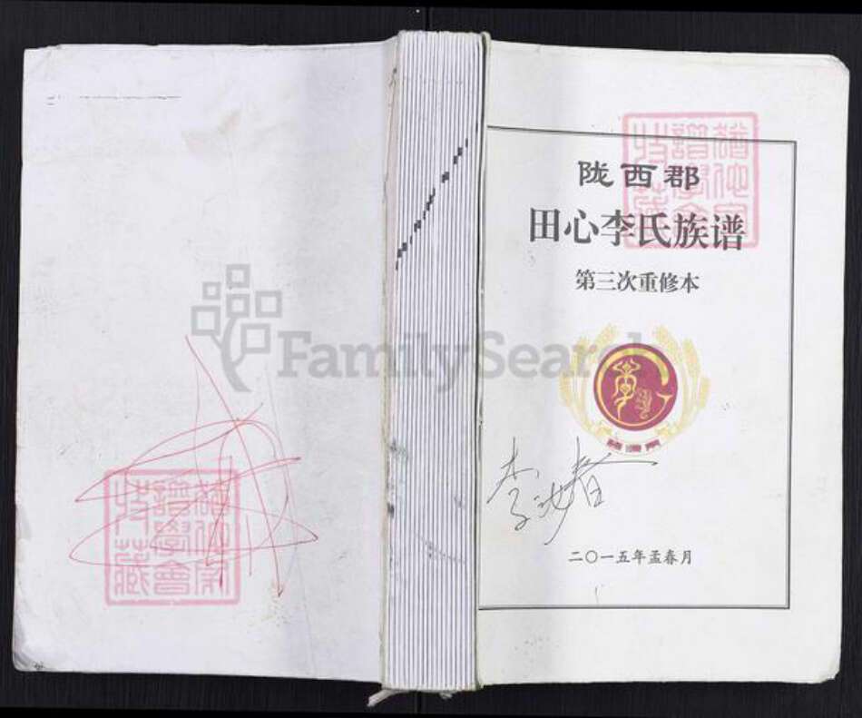 广东省茂名市高州市根子镇李氏族谱-田心李氏族谱.pdf电子版缩略图