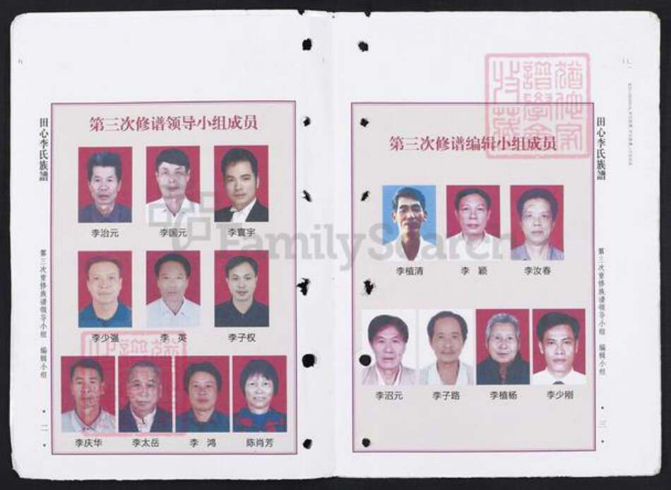 广东省茂名市高州市根子镇李氏族谱-田心李氏族谱.pdf电子版预览图2