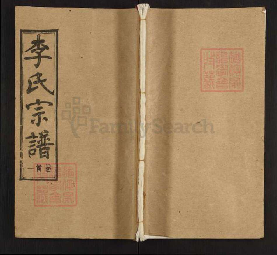 湖北省李氏陇西堂族谱-李氏宗谱.pdf电子版缩略图