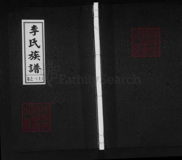 江苏省泰州市泰兴市河失镇李氏陇西堂族谱-李氏族谱.pdf电子版缩略图