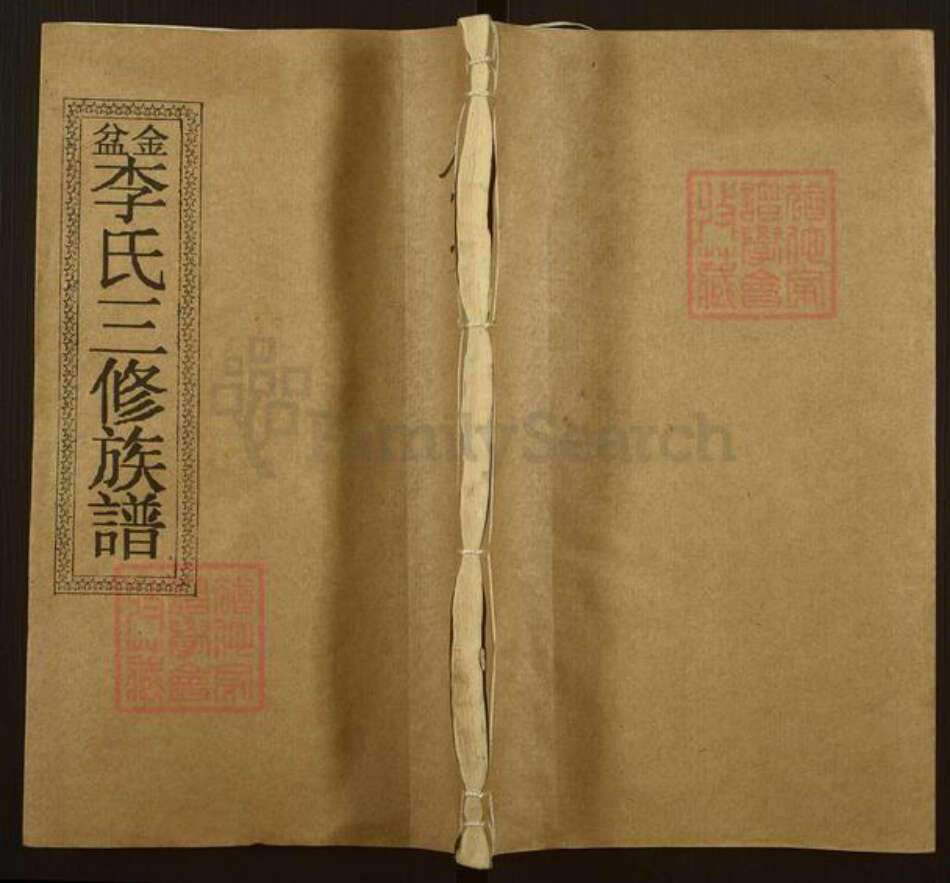 湖南省邵阳市邵东市李氏居善堂族谱-金盆李氏三修族谱.pdf电子版缩略图