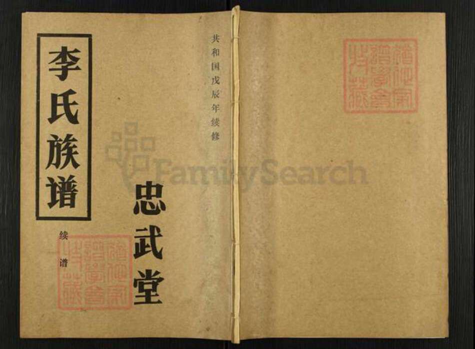 湖北省天门市拖市镇李氏忠武堂族谱-李氏族谱.pdf电子版缩略图