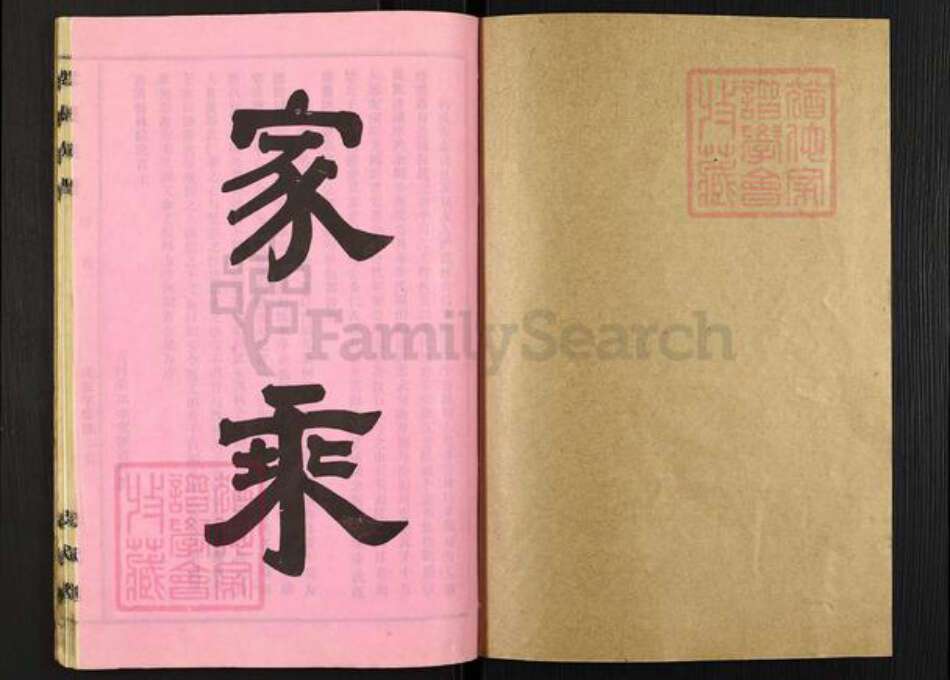 湖北省天门市拖市镇李氏忠武堂族谱-李氏族谱.pdf电子版预览图1