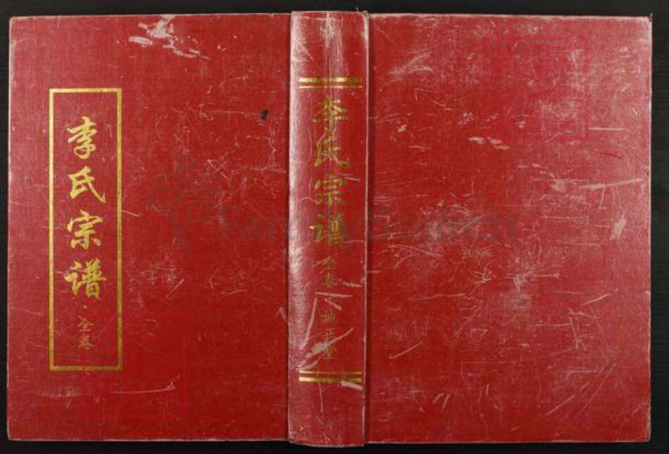 湖北省武汉市黄陂区黄陂李氏诚正堂族谱-李氏宗谱.pdf电子版缩略图