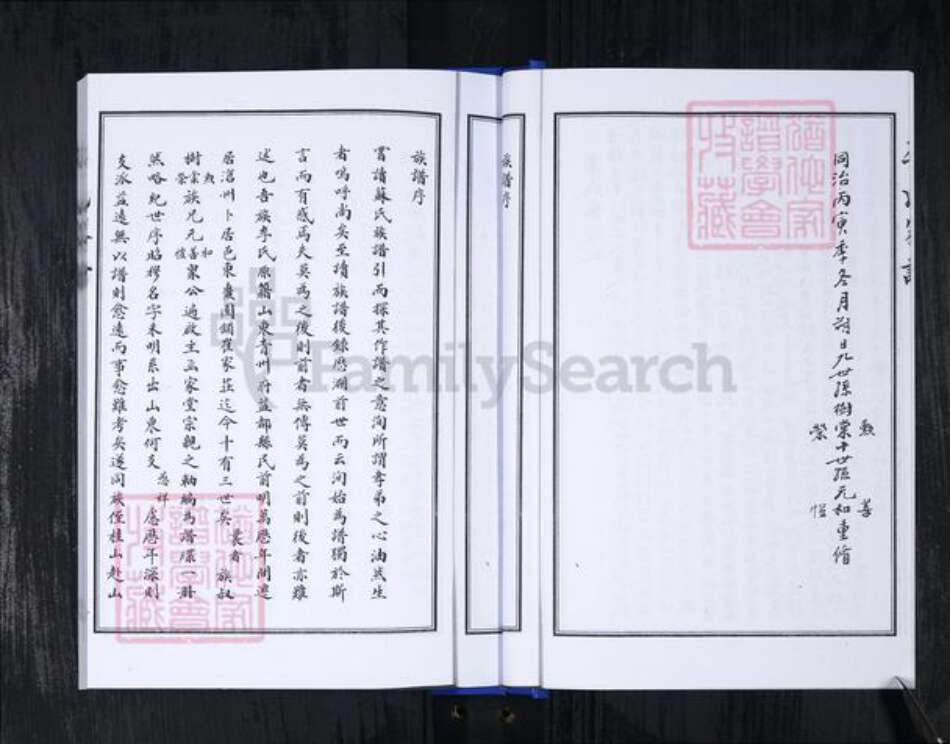 山东省青岛市崂山区李氏族谱-李氏家谱.pdf电子版预览图5