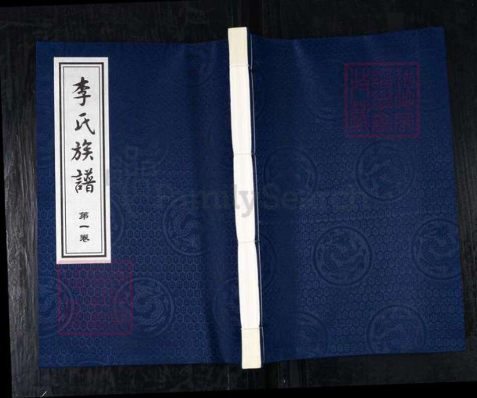 河北省沧州黄骅市吕桥镇李氏崇孝堂族谱-李氏族谱.pdf电子版缩略图