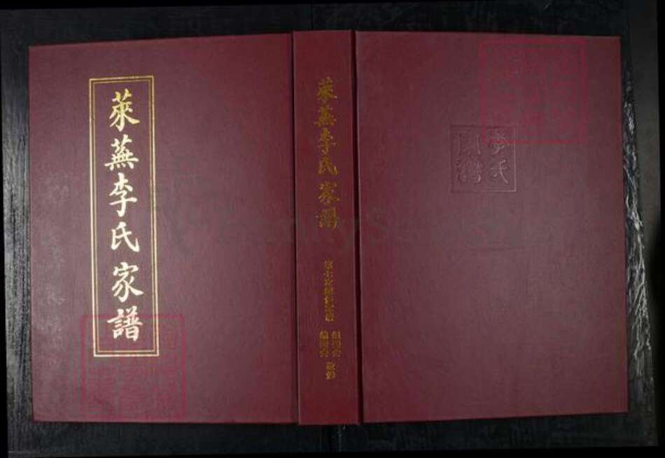 山东省济南市莱芜区杨庄镇李氏陇西堂族谱-莱芜李氏家谱.pdf电子版缩略图