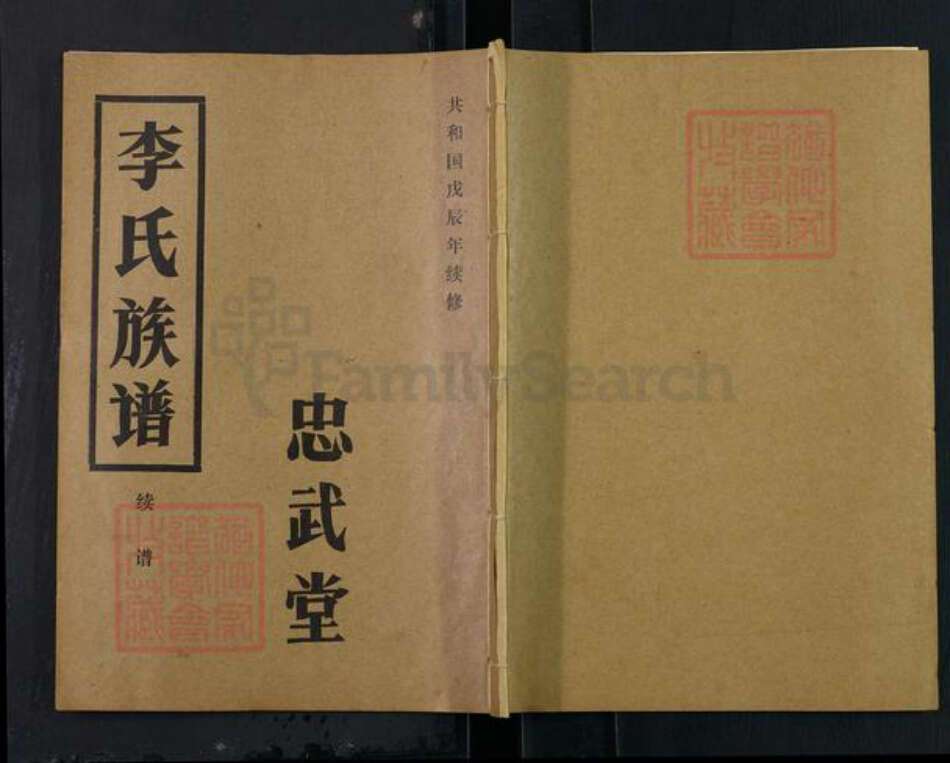 湖北省仙桃市毛嘴镇李氏忠武堂族谱-李氏族谱.pdf电子版缩略图