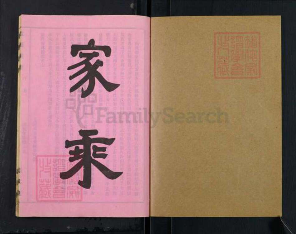 湖北省仙桃市毛嘴镇李氏忠武堂族谱-李氏族谱.pdf电子版预览图1