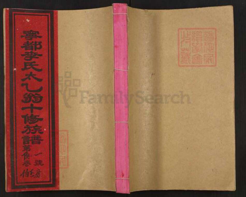 江西省赣州市宁都县李氏族谱-宁都李氏太乙翁十修族谱.pdf电子版缩略图