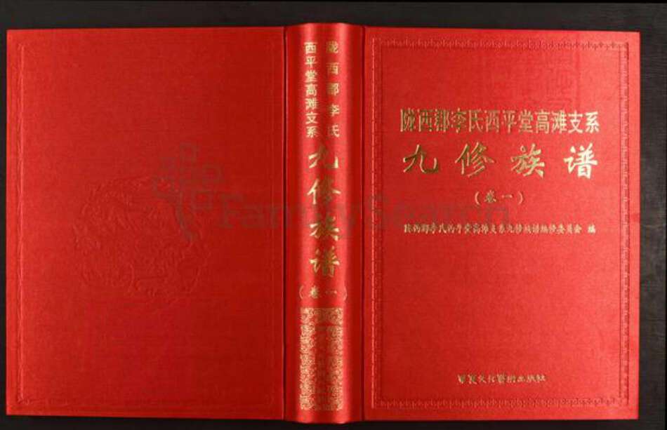 江西省赣州市于都县罗江乡李氏西平堂族谱-陇西郡李氏西平堂高滩支系九修族谱.pdf电子版缩略图