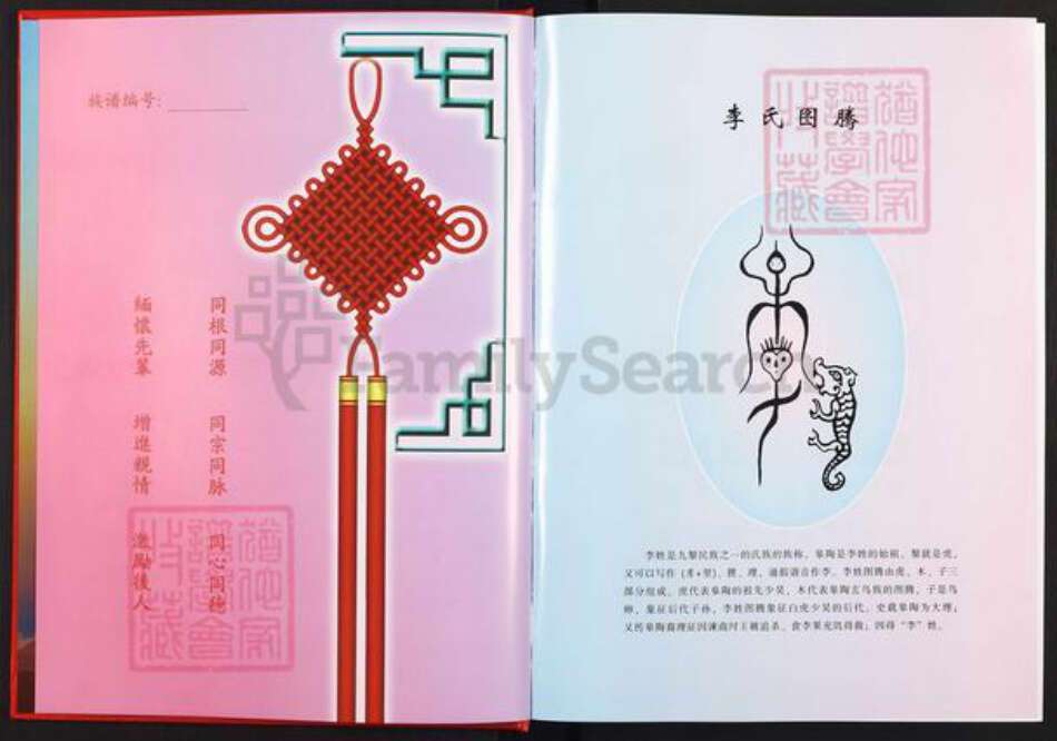 江西省赣州市于都县罗江乡李氏西平堂族谱-陇西郡李氏西平堂高滩支系九修族谱.pdf电子版预览图2