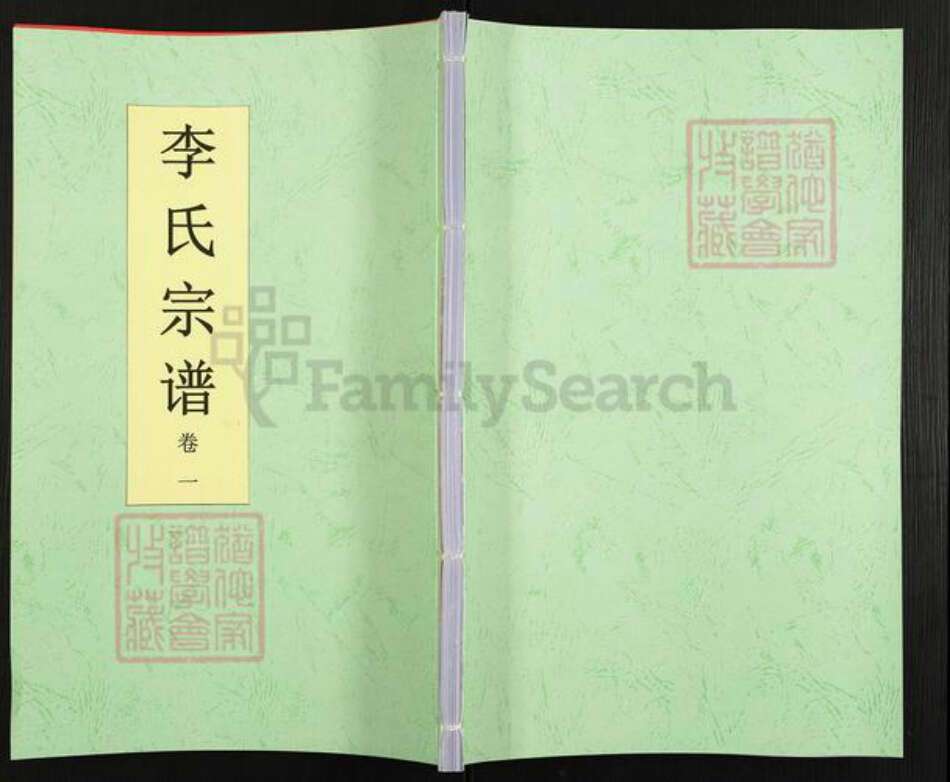 安徽省合肥市巢湖市柘皋镇李氏族谱-李氏宗谱.pdf电子版缩略图