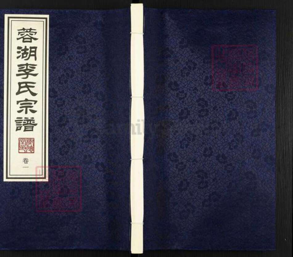 江苏省常州市武进县李氏树德堂族谱-蓉湖李氏宗谱.pdf电子版缩略图