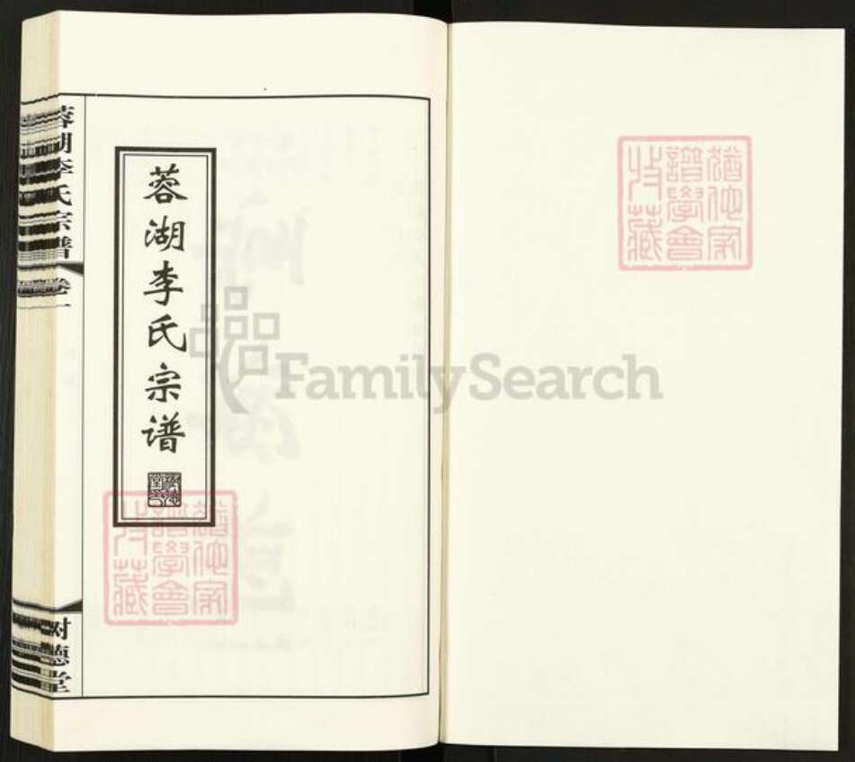 江苏省常州市武进县李氏树德堂族谱-蓉湖李氏宗谱.pdf电子版预览图1