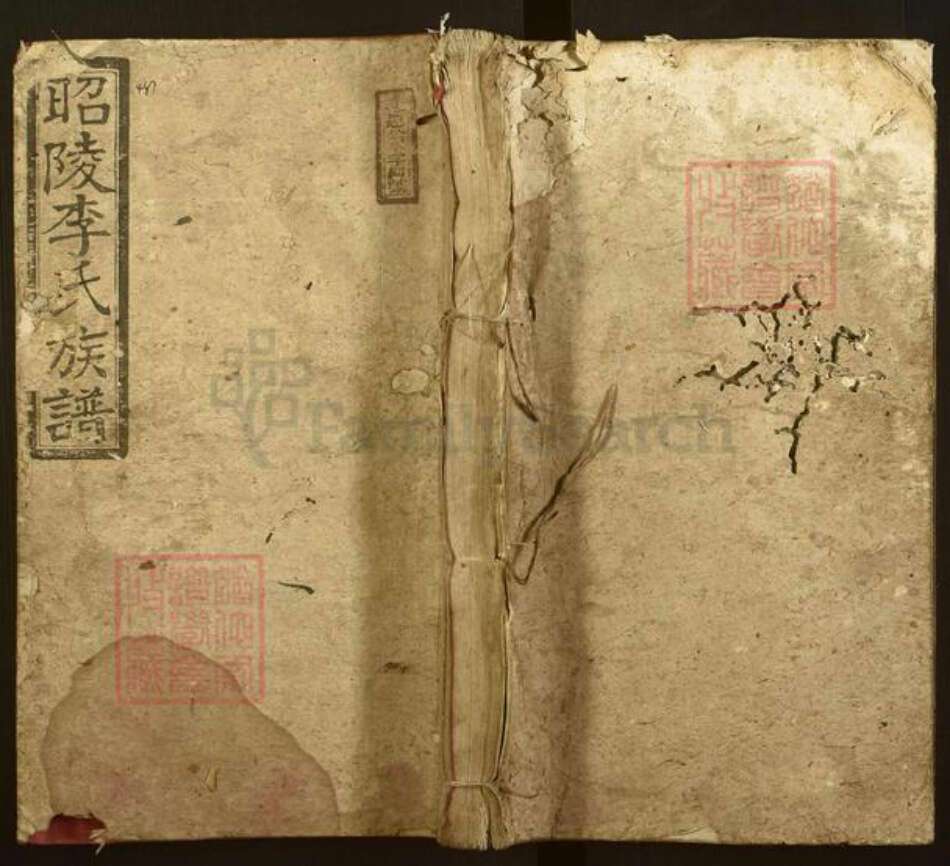 湖南省邵阳市李氏邺架堂族谱-昭陵李氏族谱.pdf电子版缩略图