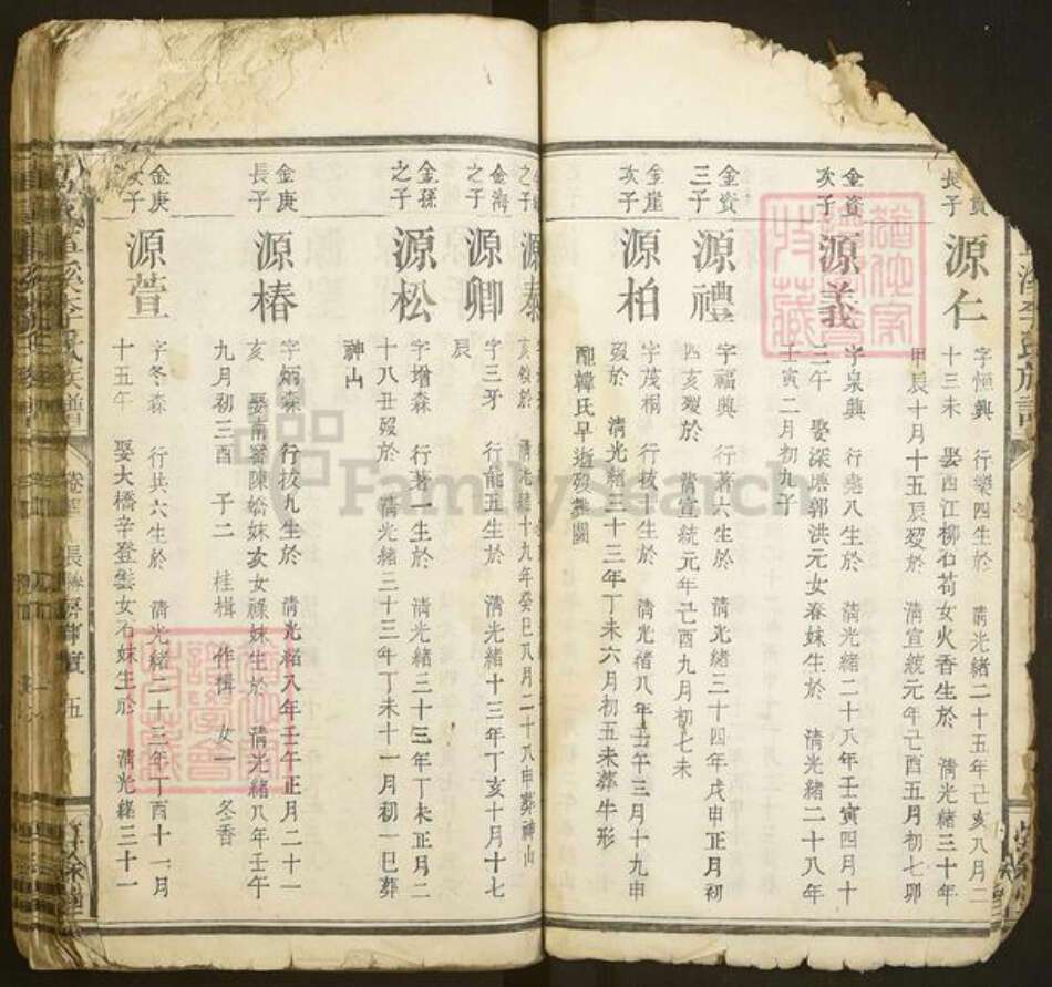 江西省赣州市于都县车溪乡李氏惇叙堂族谱-万载车溪李氏族谱.pdf电子版预览图5