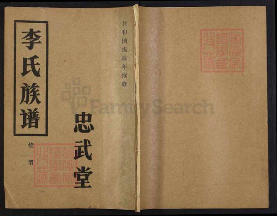 湖北省荆门市京山市李氏忠武堂族谱-李氏族谱.pdf电子版缩略图