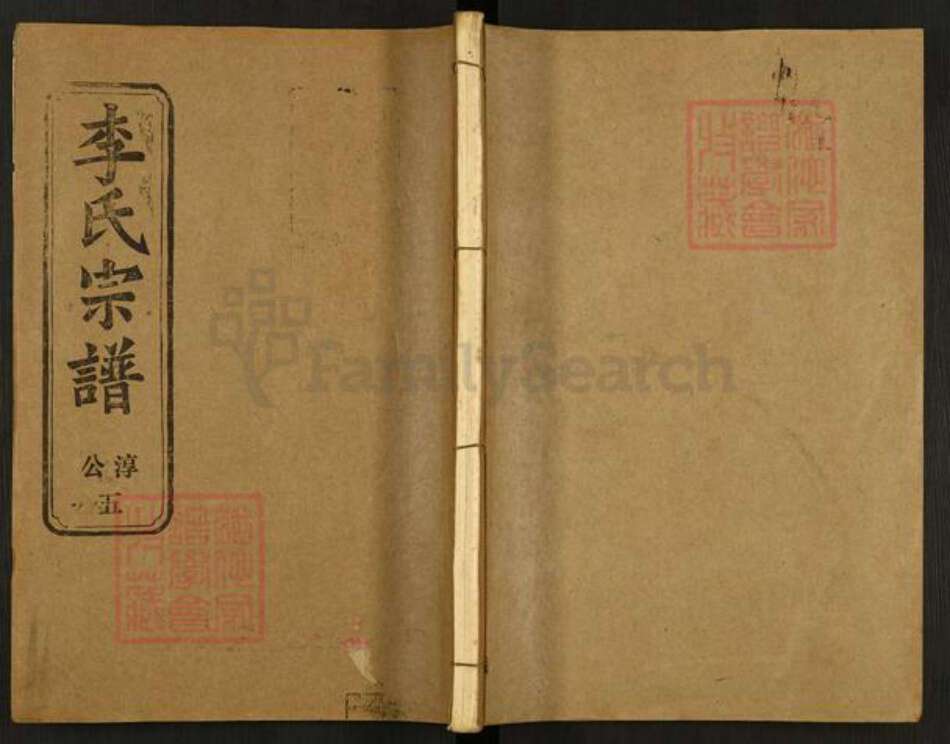 湖北省荆州市洪湖市万全镇李氏陇西堂族谱-李氏宗谱.pdf电子版缩略图