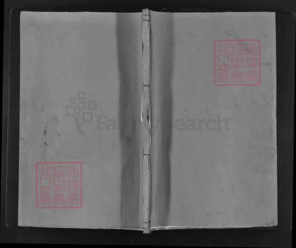 湖南省邵阳市新邵县李氏族谱-陇西李氏族谱.pdf电子版缩略图