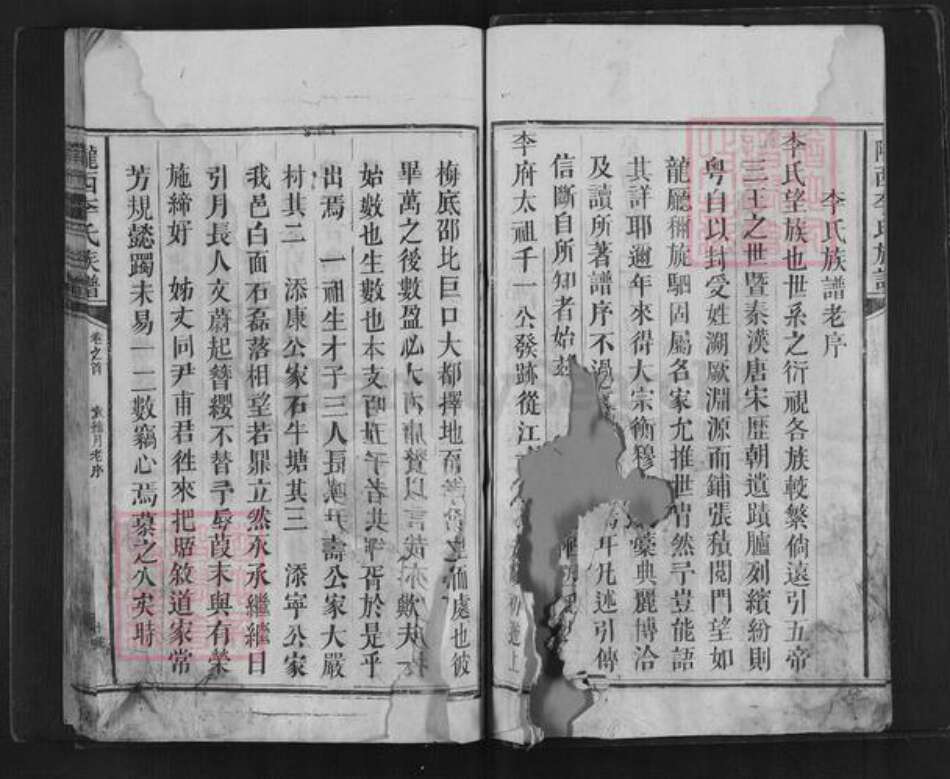 湖南省邵阳市新邵县李氏族谱-陇西李氏族谱.pdf电子版预览图5 湖南省邵阳市新邵县李氏族谱-陇西李氏族谱.pdf电子版预览图5