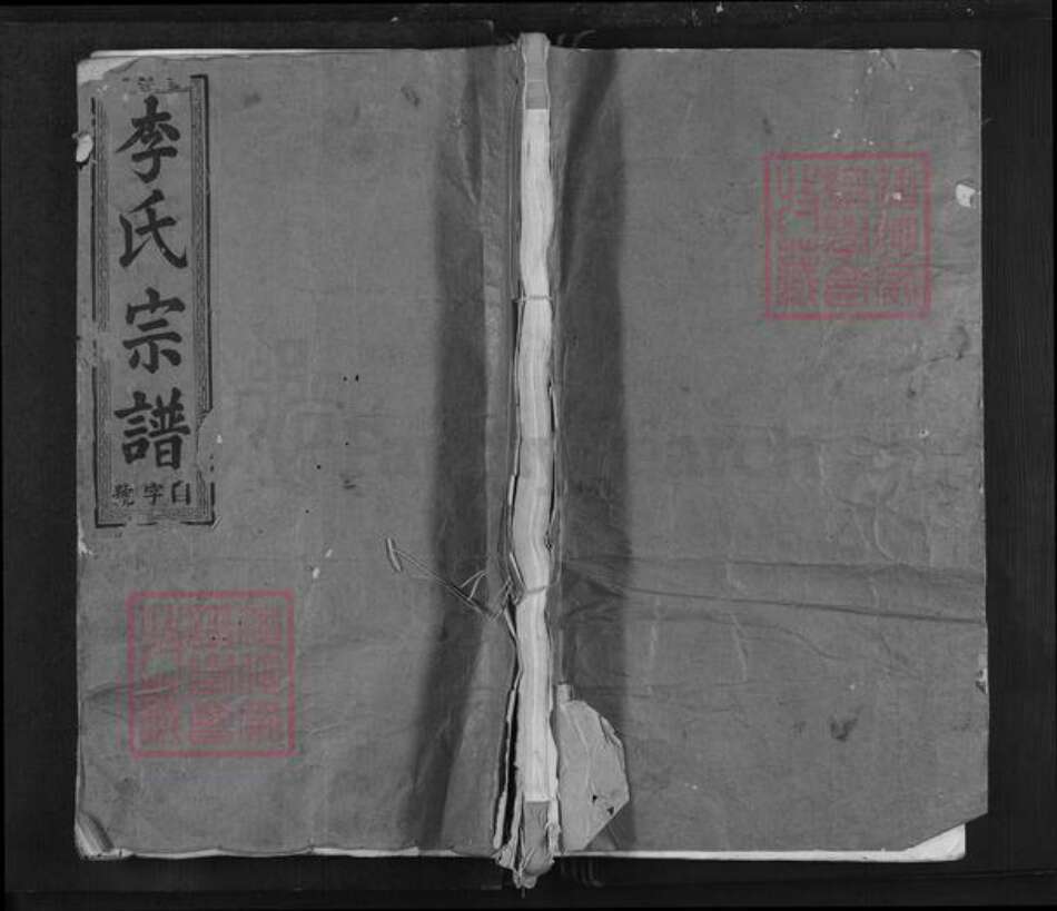 江西省抚州市南丰县李氏族谱-李氏宗谱.pdf电子版缩略图