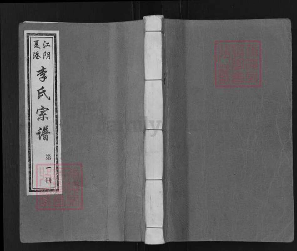 江苏省无锡市江阴市临港街道李氏树德堂族谱-江阴夏港李氏宗谱.pdf电子版缩略图