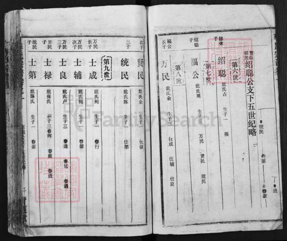 湖北省黄冈市李氏青莲堂族谱-李氏宗谱.pdf电子版预览图2