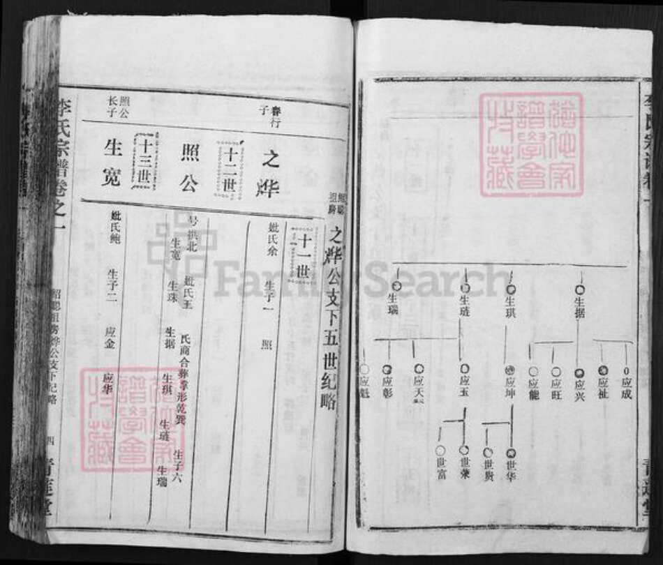 湖北省黄冈市李氏青莲堂族谱-李氏宗谱.pdf电子版预览图4