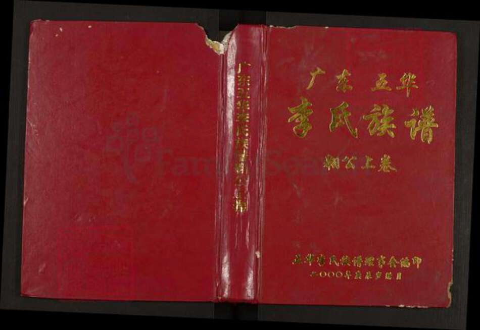 广东省梅州市五华县李氏族谱-广东五华李氏族谱.pdf电子版缩略图